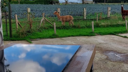 Het Busje – 2p Fiat campervan uit 2012