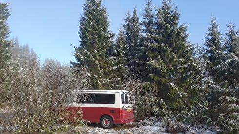 DreamCatcher – 4p Volkswagen kampeerbus uit 2025 - inclusief veel extra's