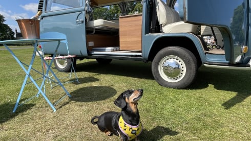 Bernard – Beautiful Campers 1972 VW Early Bay For Hire From Yorkshire