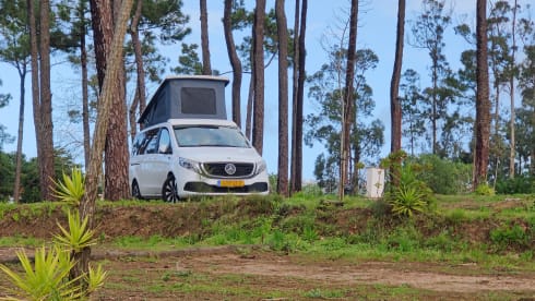 Elektra – 2-person Mercedes-Benz campervan from 2020