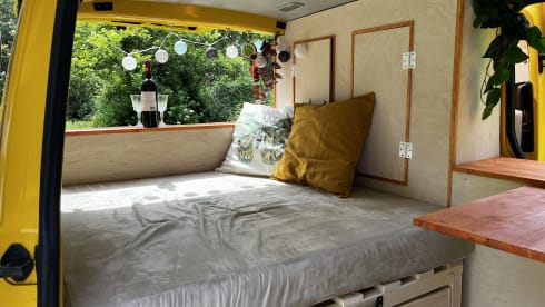 Pippin – VW T5 Postbus 