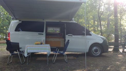 Zonnegeel – 3 person Mercedes-Benz bus from 2017