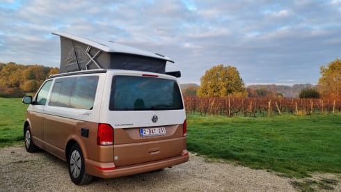 BATmobiel :) – VW California T6.1 with parking heater