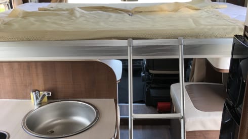 Semintegrale 4 posti Forster