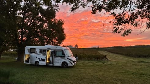 DELPORTE CYCLING – 5p McLouis CARAT 879 from 2025