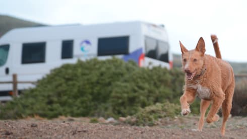 THE Family Van - 4 people