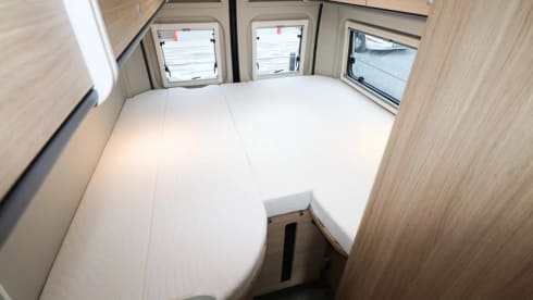 2p Sunlight bus from 2024
