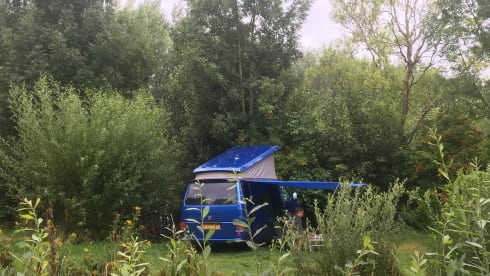 The Blue Diamond – Volkswagen T4 | BlueDiamond | Powerhouse 2.5TDI - 115HP 2 to 4 people