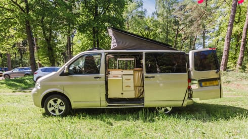 Alice The Van – Künstlerischer Dschungelcamper