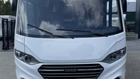Carado I447