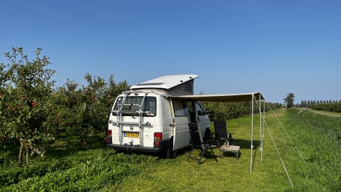 Betty – GoBetty: 2p Volkswagen campervan LWB