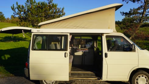 Claire – Westfalia T4   - Tuscany -