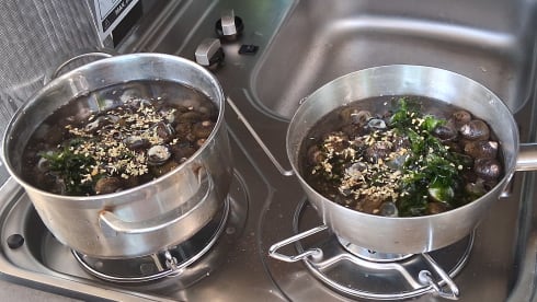 4p Pössl rooftop uit 2025