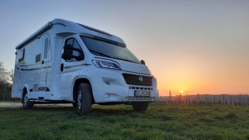 Etrusco – 2p Laika semi-integrated uit 2021