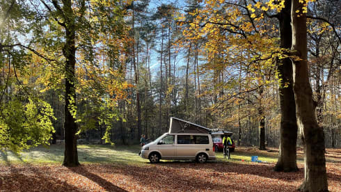 Wali – 4p Volkswagen campervan from 2010