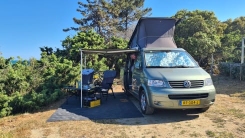 VW T5 California, September now released!! , vending machine.