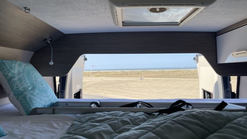 Luna – 4p Chausson bus uit 2021