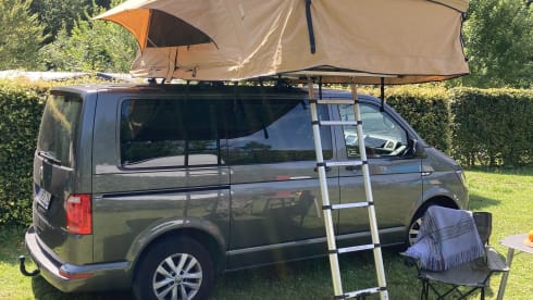 Toit Volkswagen 4p de 2018