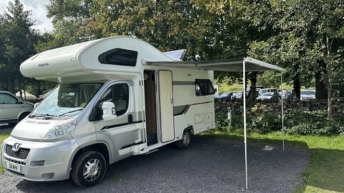 Gracie – 4-Bett Marquis Eldiss Majestic von 2014