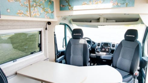 Bloesem – 4p Fiat bus uit 2022