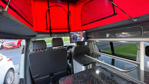 Indie – Meet Indie...2-4 berth 2020 VW brand new conversion