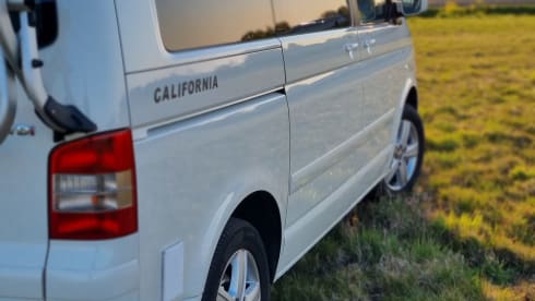 "De Witte" – 4p Volkswagen bus from 2004