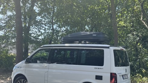 4p Volkswagen campervan uit 2021