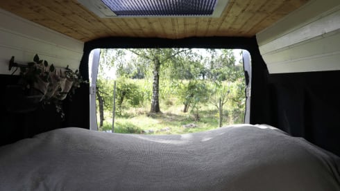 2p Fiat bus from 2011