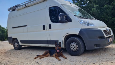 Leeuwke – Minibus Peugeot 2 places de 2014