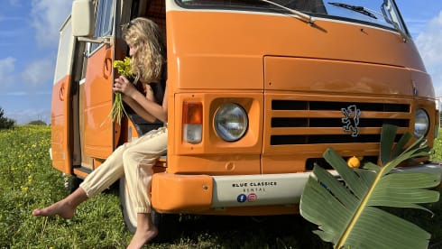 Laranja – Rent a  Blue Classics’s Combi J9