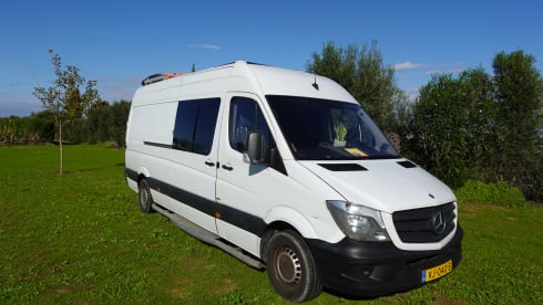 Siobvan – 2p Mercedes-Benz bus from 2014