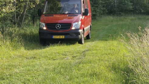 Solide – 2p Mercedes-Benz bus from 2015