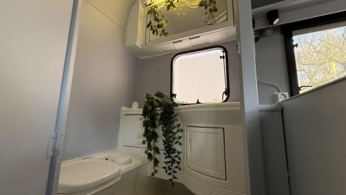 Liberty – Alcove camper 
