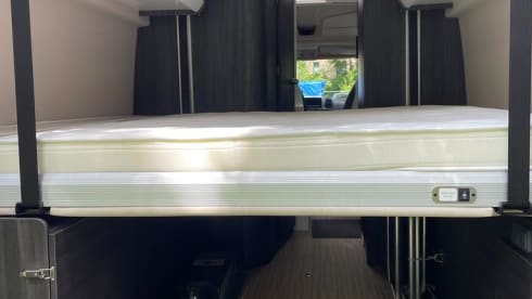 2p Benimar bus from 2021