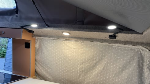 Wally –  – Volkswagen T6 lovely new camper!