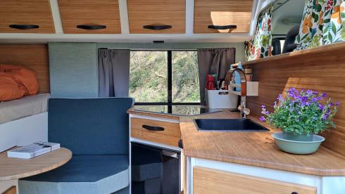 2p Fiat bus from 2020