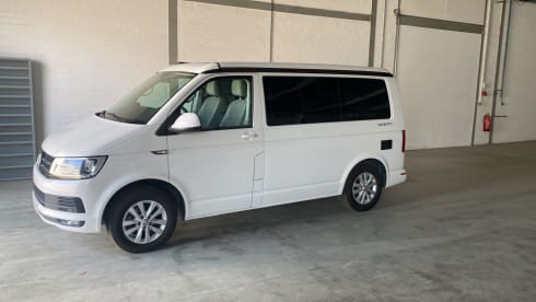 Cali  – Volkswagen California T6 (Factory Camper, original)