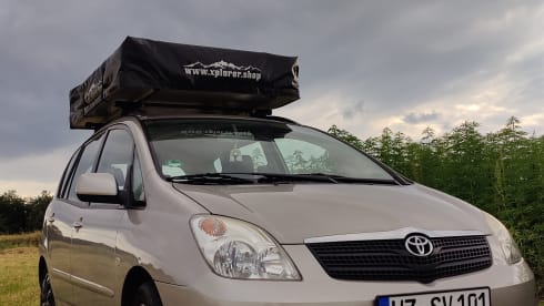 Toto – Micro Camper mit Dachzelt und Küchenbox