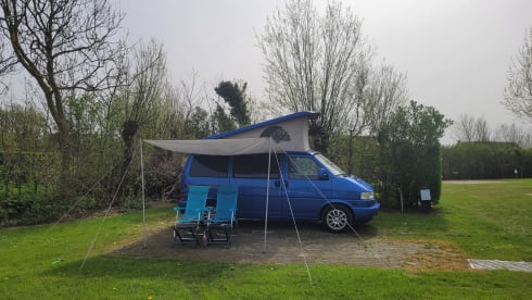 4p Volkswagen bus from 2001