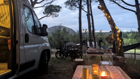 Malik  – 4p Benimar bus uit 2025