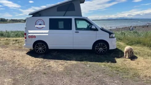 Rogue One – Go Rogue in our very special 'Rogue One'🌈🚐