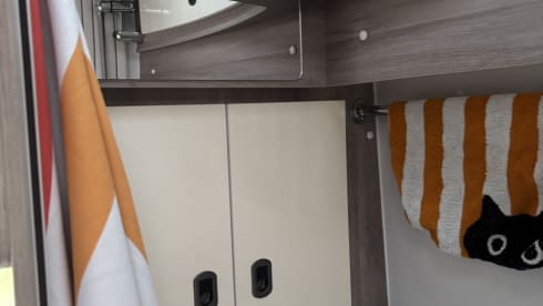 Lady Gaga – 2 berth Fiat campervan from 2023