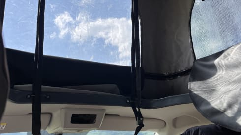 Sunny – Noleggio camper di lusso VW. Con sede a Glasgow, Scozia. 