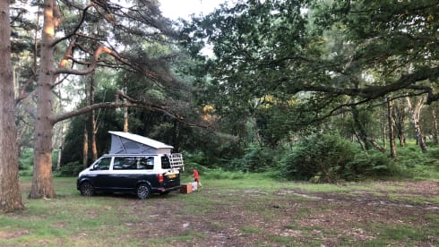 Bertie – 4-Bett-Volkswagen-Campervan von 2018