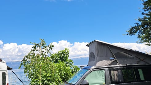 Volkswagen California T5 automatic 4P