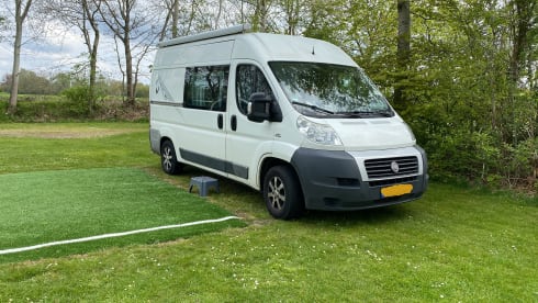3-seater Fiat bus from 2012