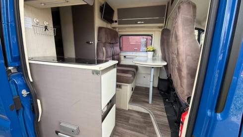 Rijnmondse smurf – 3p Challenger bus uit 2020