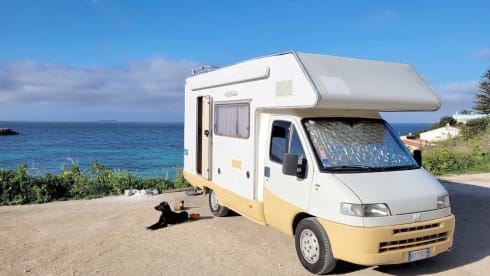 Freddy – "Camper Mansardato Fiat Ducato : Classico Vintage Familiare"