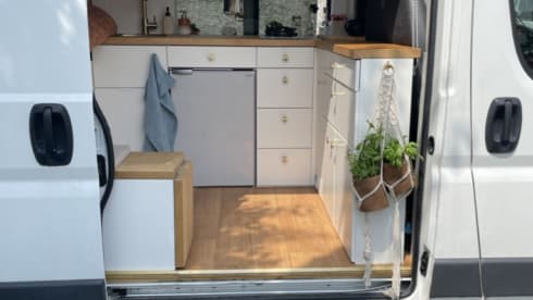 Sallie – 2p Peugeot bus uit 2016