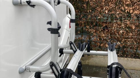 Chihuahua on the road – 2p Benimar semi-integrated from 2022
